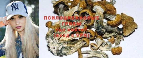 MDMA Premium VHQ Верхнеуральск