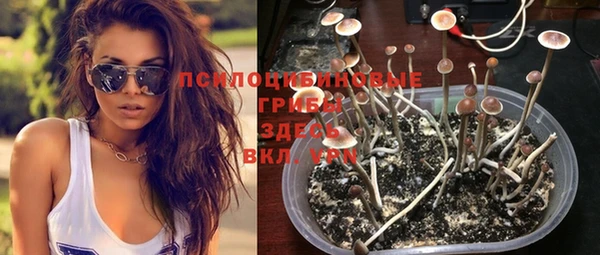 MDMA Premium VHQ Верхнеуральск