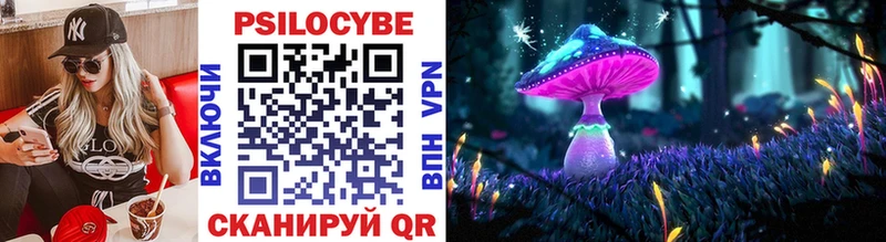 Купить закладки  Киренск  Галлюциногенные грибы Psilocybine cubensis 